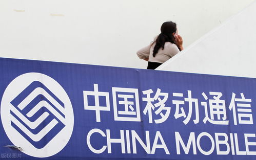 2022年 中國移動(dòng)及員工在信息咨詢服務(wù)領(lǐng)域的機(jī)遇與展望